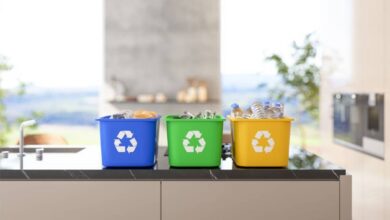 Photo of Las top 6 aplicaciones para obtener beneficios económicos y recompensas a través del reciclaje.