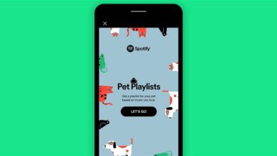 Photo of Spotify lanza listas de reproducción diseñadas para tus mascotas: aprende cómo crearlas