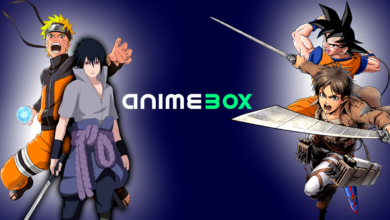 Photo of Todo lo que necesitas saber sobre Animebox: contenido, catálogo y precios.