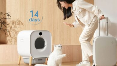 Photo of Si tienes un gato, no podrás resistir comprar el nuevo inodoro inteligente y autolimpiable de Xiaomi